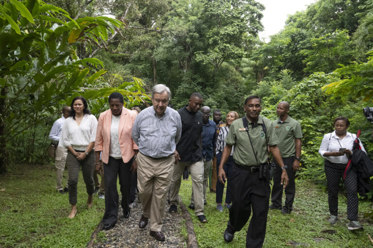 Nature walk along the Discovery Trail led by guide Mukesh Ramdass
